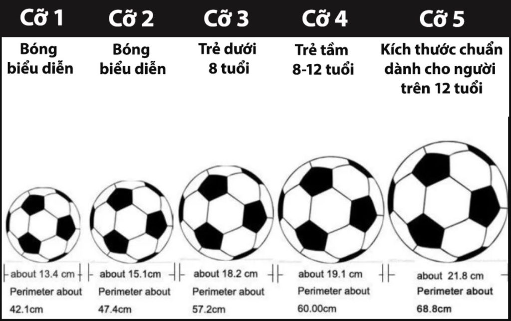 Kích cỡ quả bóng